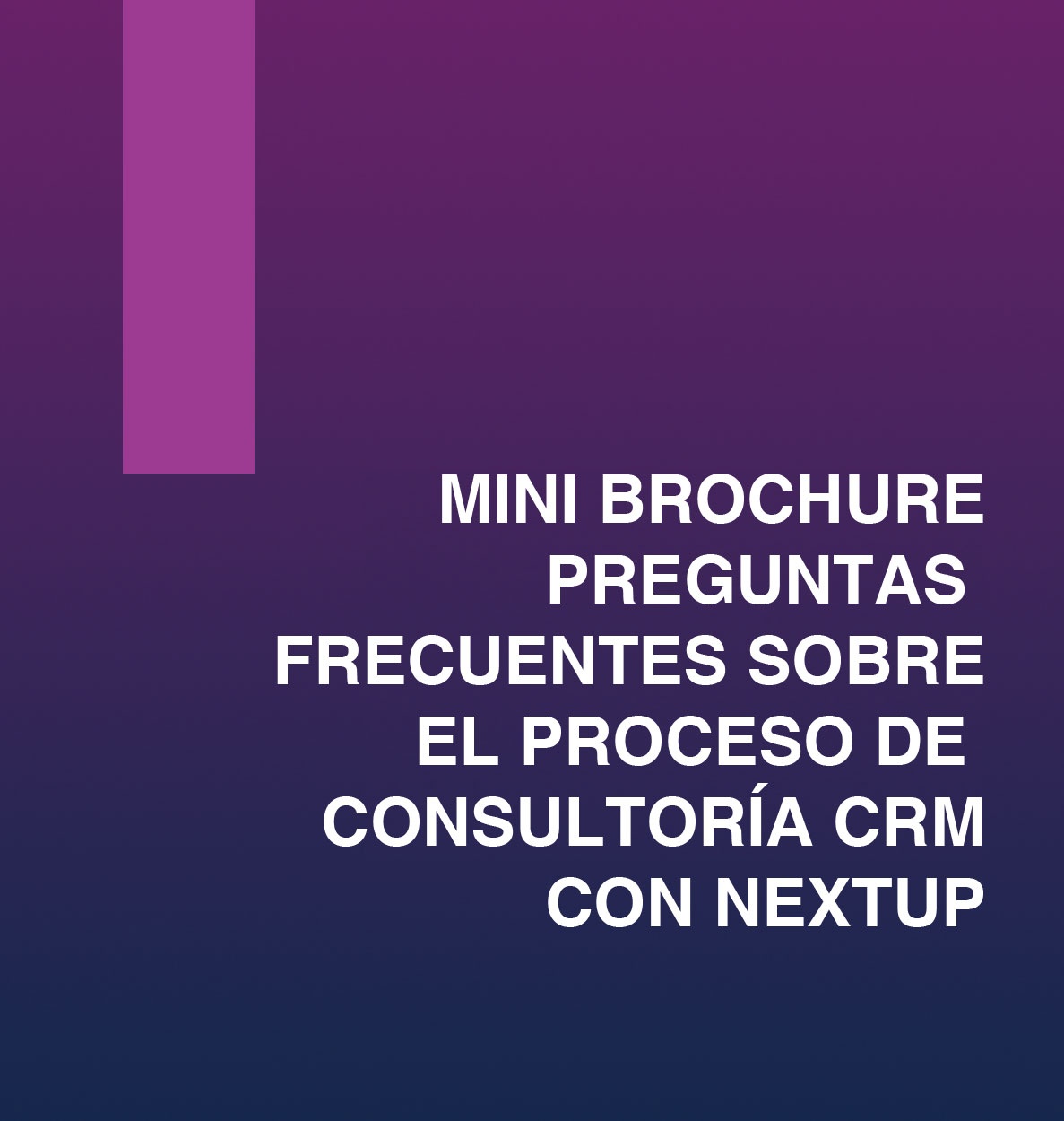 preview_minibrochure_nextup_consultoria-01